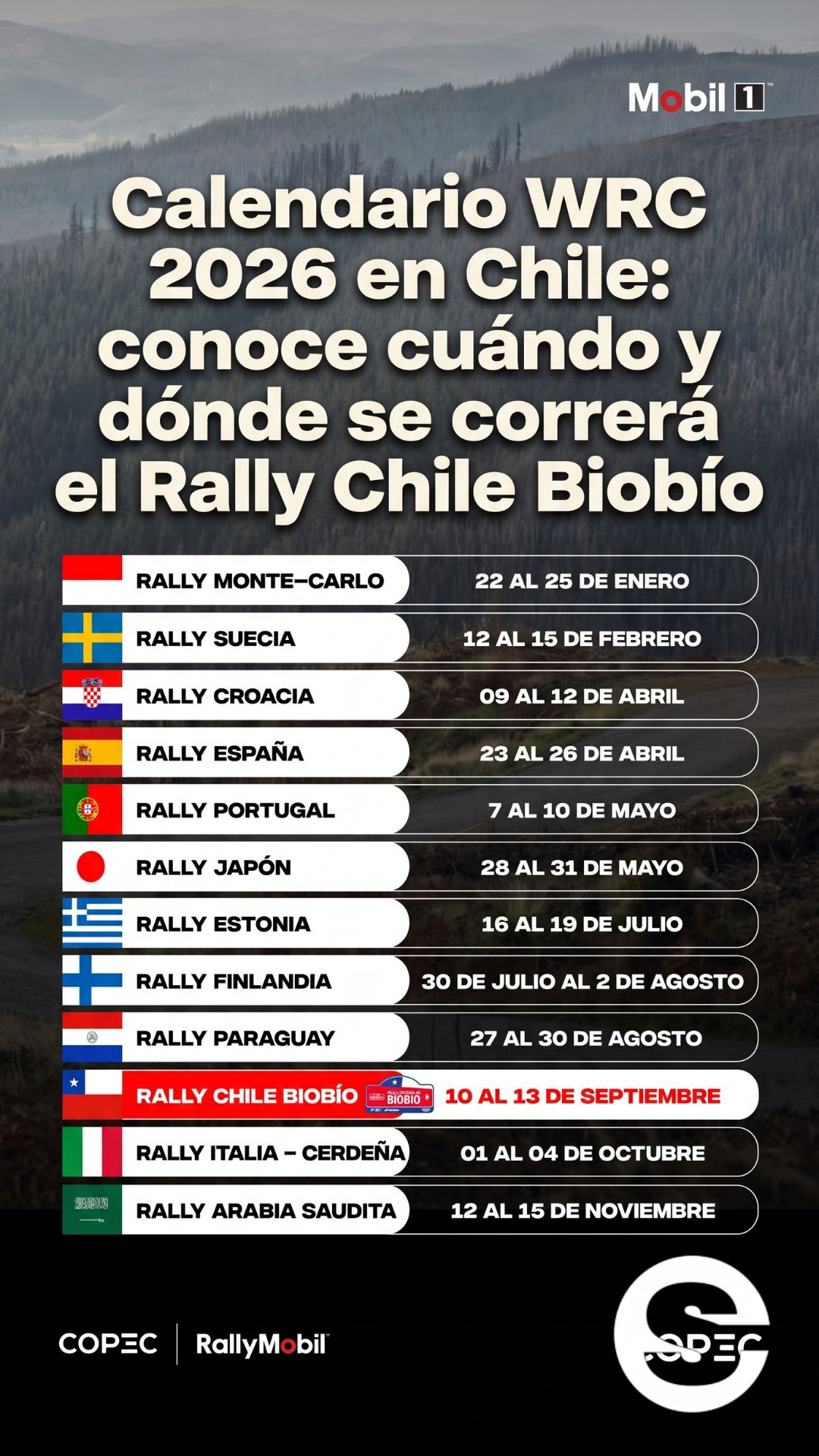 🇨🇱🧘 Rally Chile Biobío: la fiesta del automovilismo mundial 🩺.